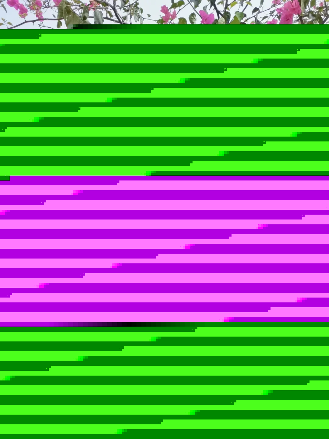 云商 · 笔谈 | 一封家书——2023级高级护理七班韦应雪