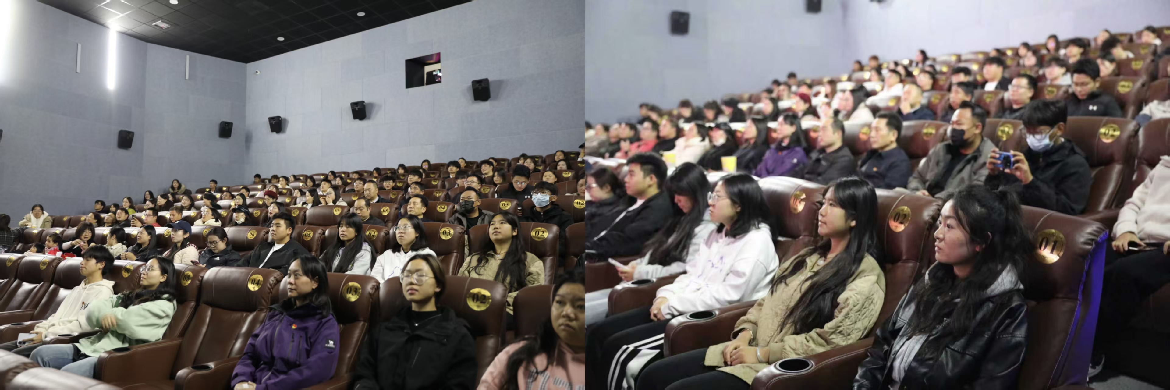 1761317036935054635.jpg ecd5c5e47267a0f1180724db4a0656ab.jpg